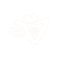 Vichente App